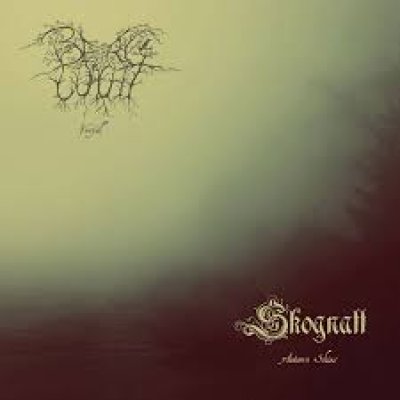 画像1: Skognatt / Bergwacht - Verfall / Autumn Skies / LP