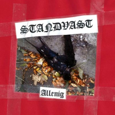 画像1: Standvast - Allenig / DigiCD