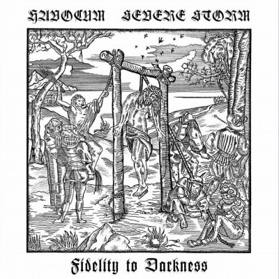 画像1: Havocum / Severe Storm - Fidelity to Darkness / CD