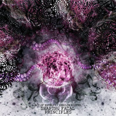 画像1: Act of Entropy / Zebulon Kosted - Shaping Fatal Portraits / ProCD-R