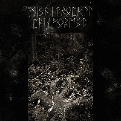 画像1: Misantropical Painforest - Firm Grip of the Roots / CD