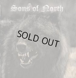 画像1: Sons of the North - Sons of the North / CD