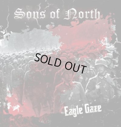 画像1: Sons of the North - Eagle Eye / CD