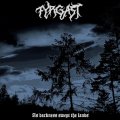 Fyrgast - As Darkness Swept the Lands / DigiCD