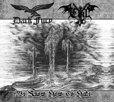 画像1: Dark Fury / Evil - We Know How to Hate / DigiCD