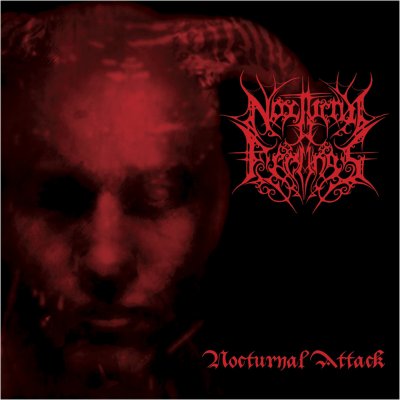 画像1: Nocturnal Feelings - Nocturnal Attack / LP