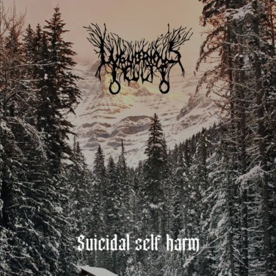 画像1: Lugubrious Cult - Suicidal Self Harm/ CD