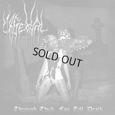 画像1: Urgehal - Through Thick Fog Till Death / DigiCD