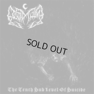 画像1: Leviathan - The Tenth Sub Level of Suicide / CD