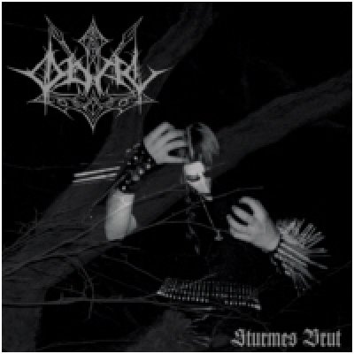 画像1: Odal - Sturmes Brut / CD