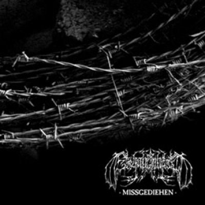 画像1: Erhabenheit - Missgediehen / CD