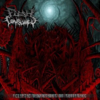 画像1: Flesh Consumed - Ecliptic Dimensions of Suffering / CD