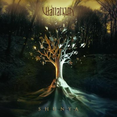 画像1: Wallachia - Shunya / CD