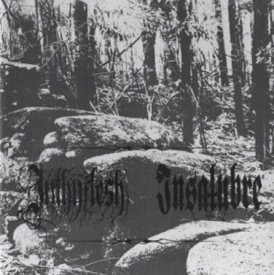 画像1: Inthyflesh / Insalubre - Split / EP