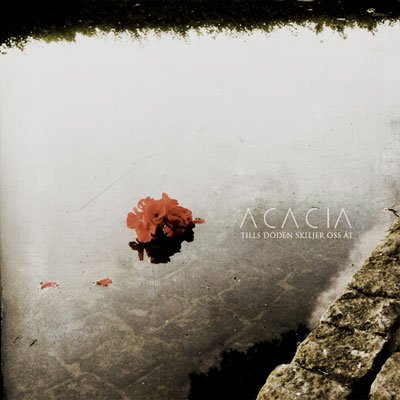 画像1: Acacia - Tills doden skiljer oss at / CD