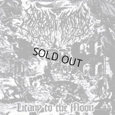 画像1: Shroud of Satan - Litany to the Moon / CD