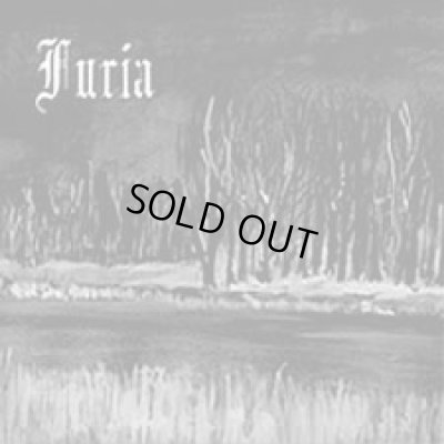 画像1: Furia - I krzyk / CD