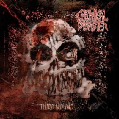 画像1: Chemical Disaster - Third Wound / CD