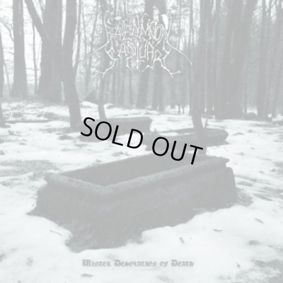 画像1: Ravenmoon Sanctuary - Winter Desolation of Death / DigiCD