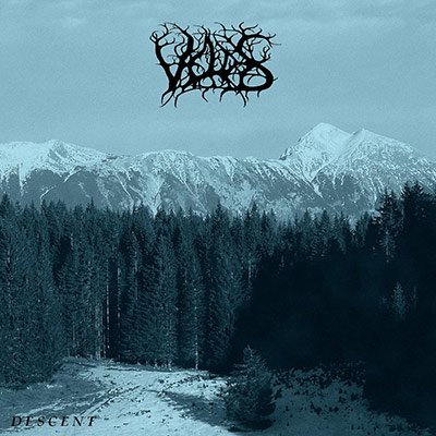 画像1: Veldes - Descent / CD