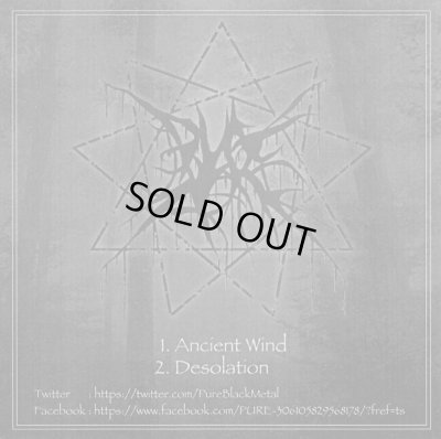 画像1: Pure - Ancient Wind / Desolation / DIYCD-R