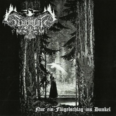 画像1: Sturmfolk / Asenheim - Nur ein Flugelschlag ins Dunkel / Forgotten Pages / ProCD-R