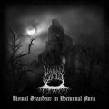 Vanad Varjud - Dismal Grandeur in Nocturnal Aura / CD