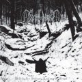 Demoncy - Within the Sylvan Realms of Frost / CD