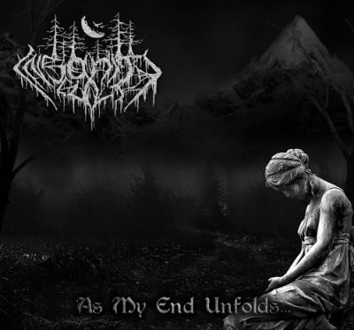 画像1: Insanity Cult - As My End Unfolds... / DigiCD