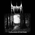 Striborg - A Procession of Lost Souls / CD