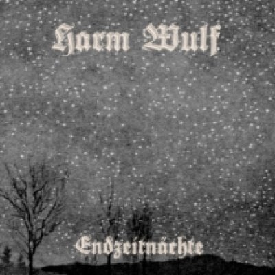 画像1: Harm Wulf - Endzeitnachte / CD