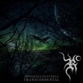 Reminiscencia - Impiedosa Natureza Transcendental / CD