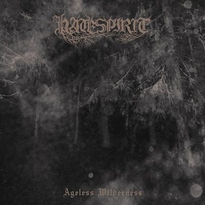 画像1: Hatespirit - Ageless Wilderness / CD