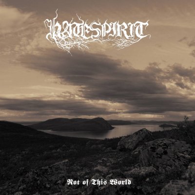 画像1: Hatespirit - Not of This World / CD