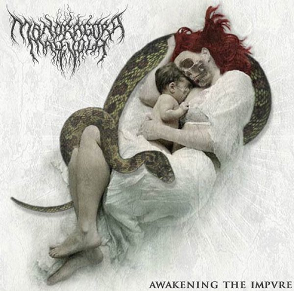 画像1: Mandragora Malevola - Awakening the Impvre / CD (1)