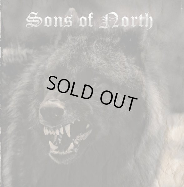 画像1: Sons of the North - Sons of the North / CD (1)