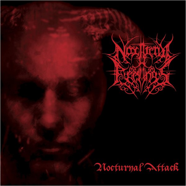 画像1: Nocturnal Feelings - Nocturnal Attack / LP (1)