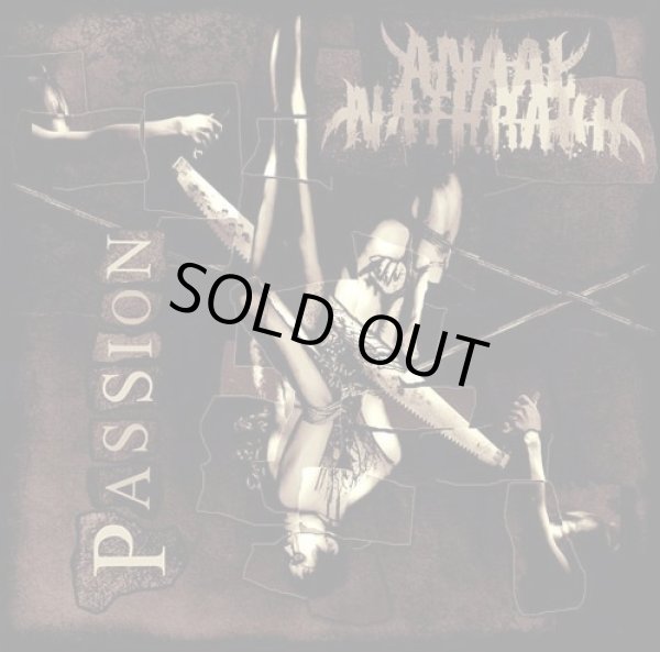 画像1: Anaal Nathrakh - Passion / CD (1)