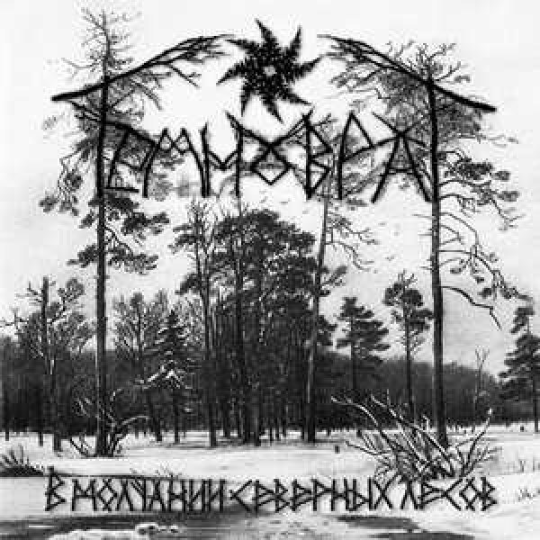 画像1: Temnovrat - В молчании северных лесов / CD (1)