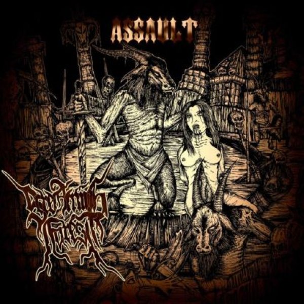 画像1: Screaming Forest - Assault / CD (1)