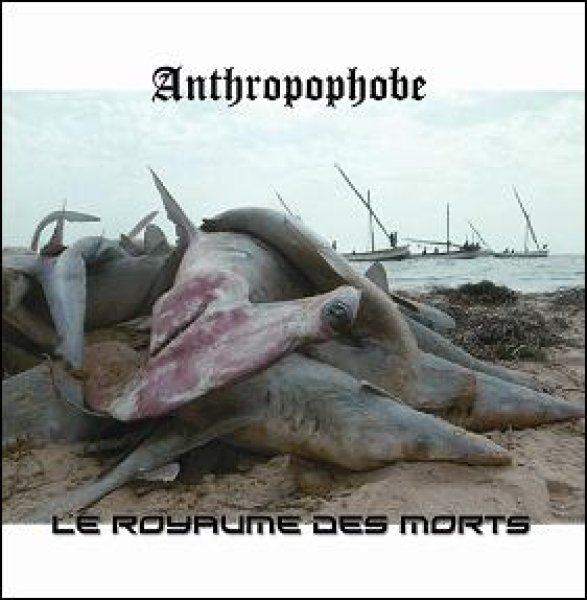 画像1: Anthropophobe - Le Royaume des Morts / CD (1)