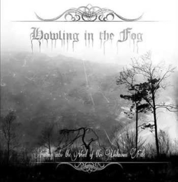 画像1: Howling in the Fog - Falling into the Void of this Unknown Fate / CD (1)