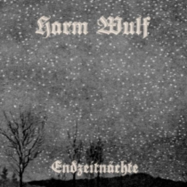 画像1: Harm Wulf - Endzeitnachte / CD (1)